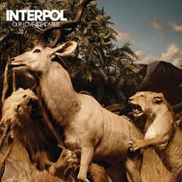 Artwork for the song Rest My Chemistry by Interpol