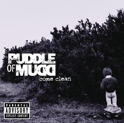 Artwork for the song Blurry by Puddle Of Mudd