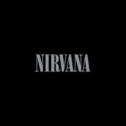 Artwork for the song You Know You're Right by Nirvana