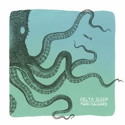 Artwork for the song Spy Dolphin by Delta Sleep