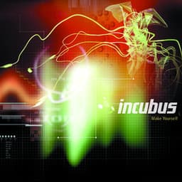 Artwork for the song Pardon Me by Incubus